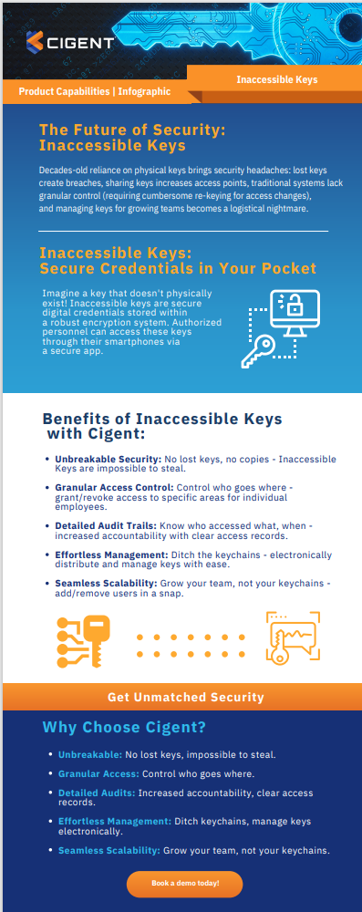 Inaccessible Keys Infographic Cover